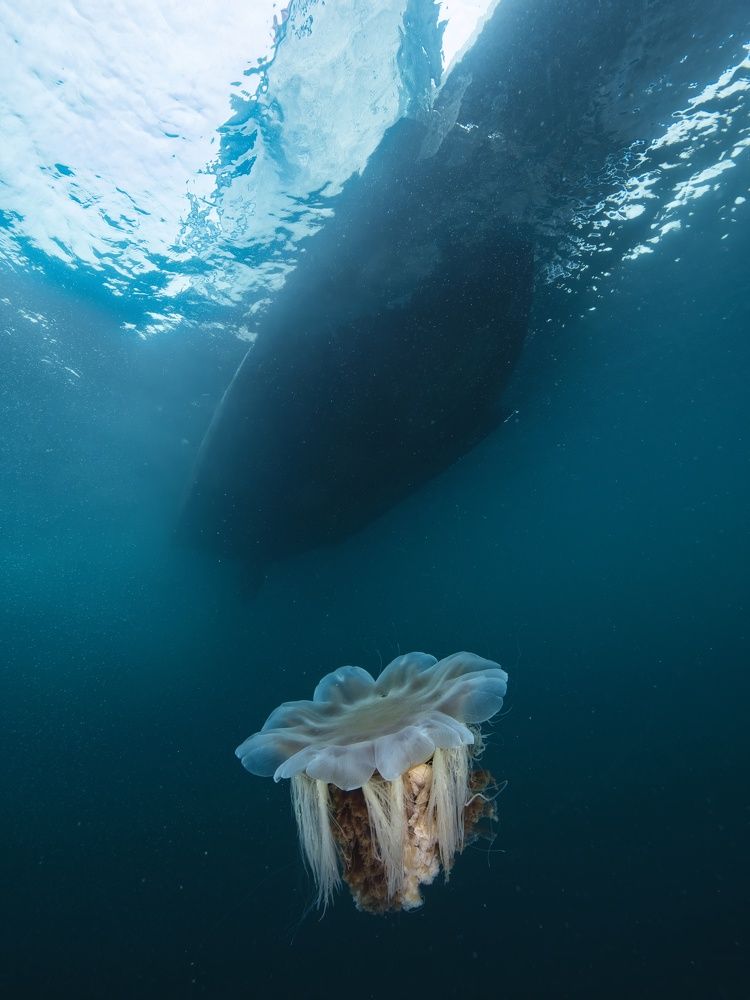 Photograph by Shuo-Wei Chang