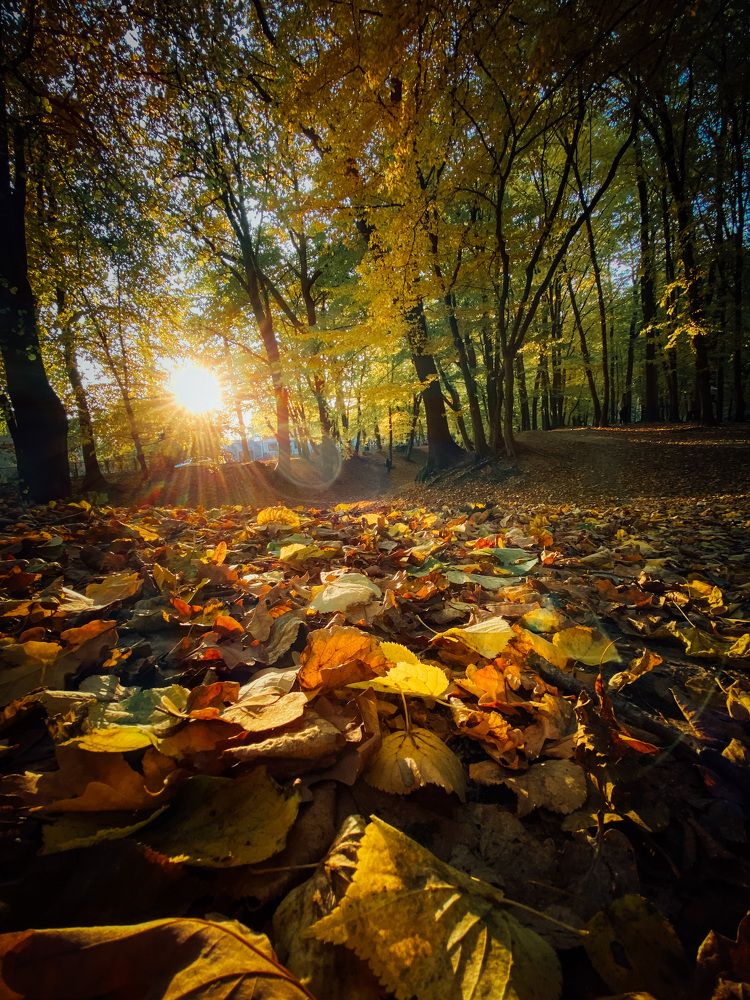 Photograph by Юлия Пыльцева