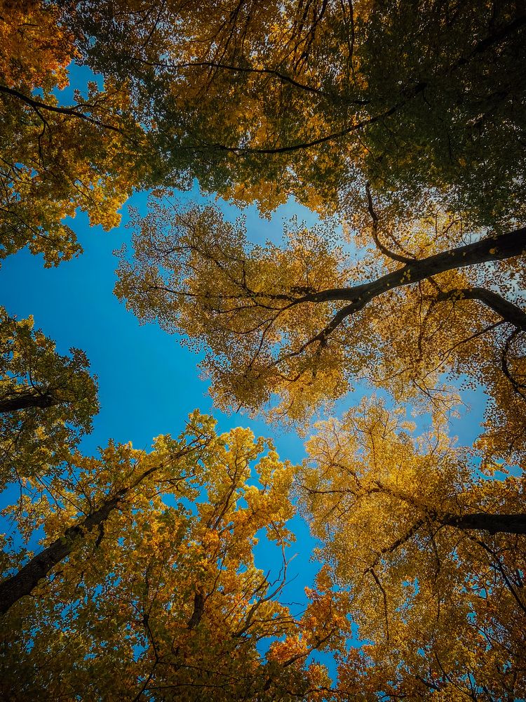 Photograph by Юлия Пыльцева