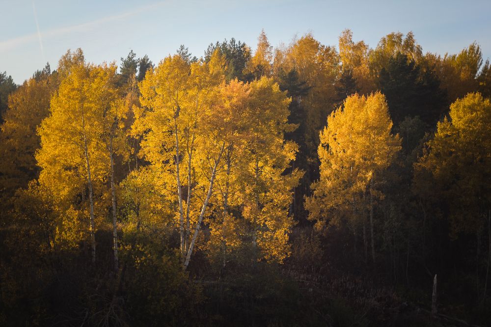 Фотография автора Ляшко Светлана