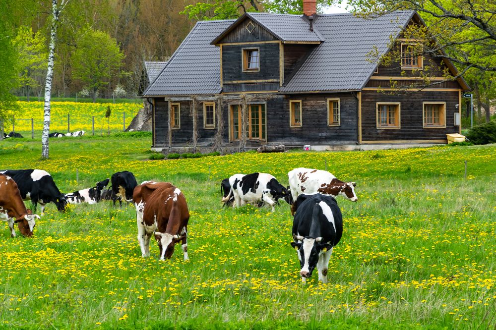 Photograph by Ivars Andrups