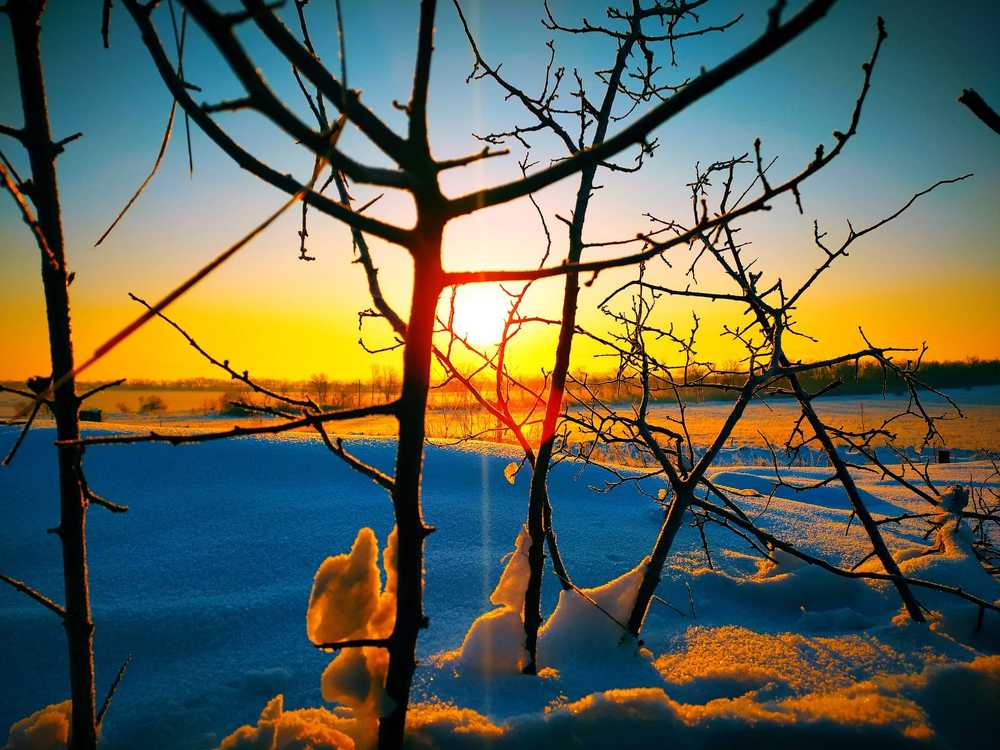 Фотография автора Мария Коледа