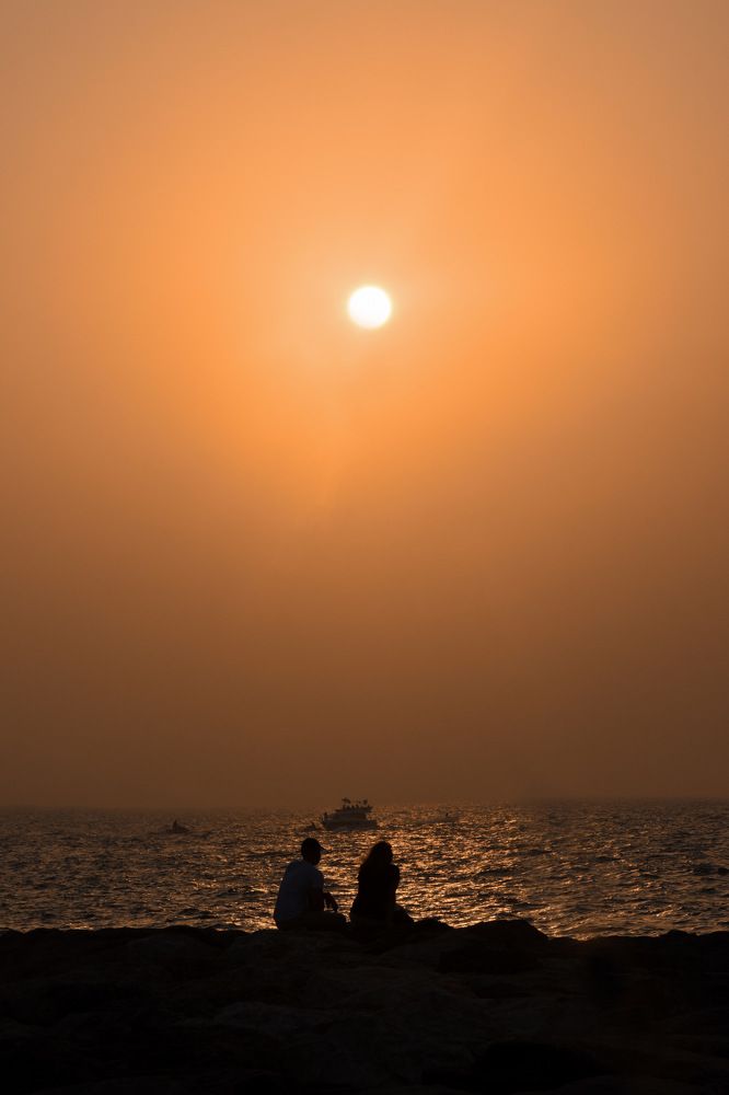 Фотография автора Mohsen Tavakoli