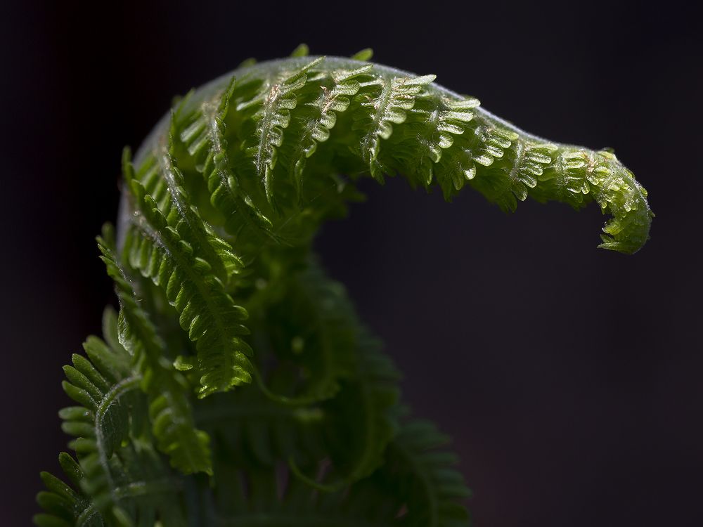 Photograph by Олег Тетерин