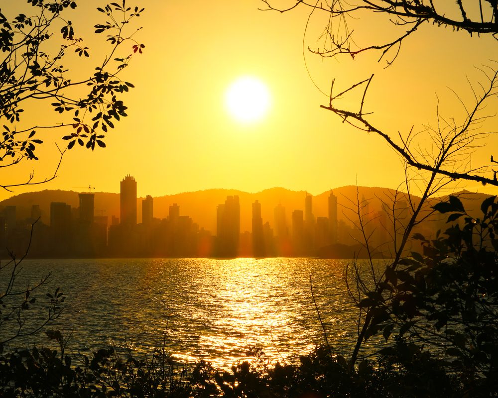 Photograph by Sâmia Munaretti