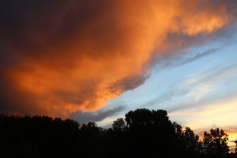 Photograph by Галина Мазур