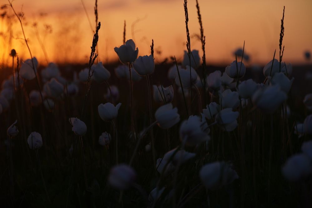 Photograph by Евгения