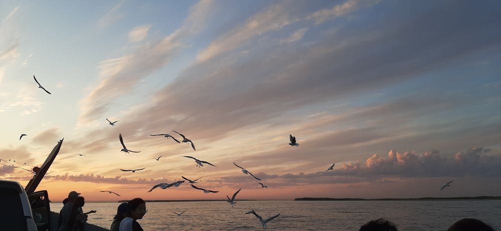 Photograph by Николай Цыпандин