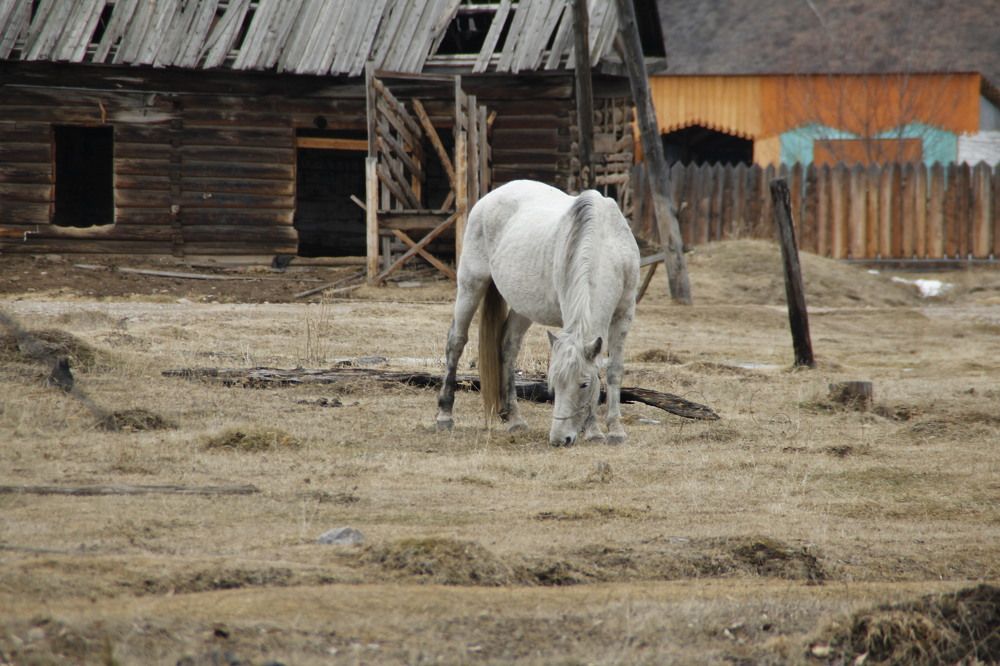 Photograph by Ольга Мурашева