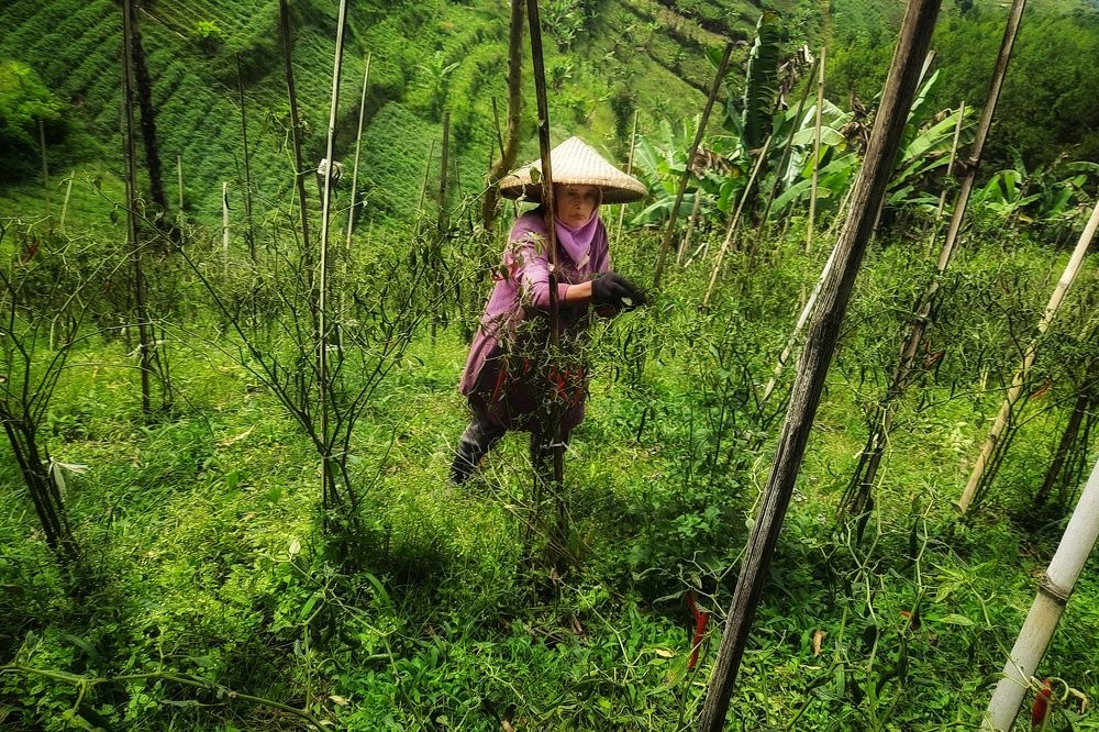 Photograph by Ilham Fajar