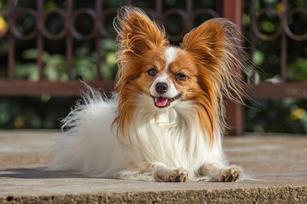 Photograph by Алексей Борисов