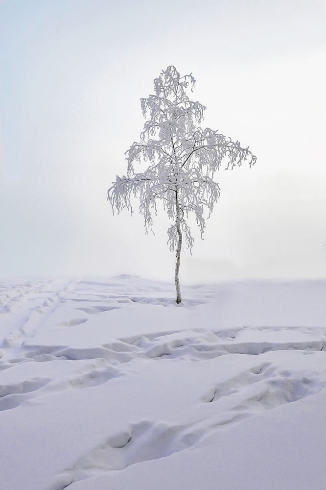 Photograph by Александр Шипиленко