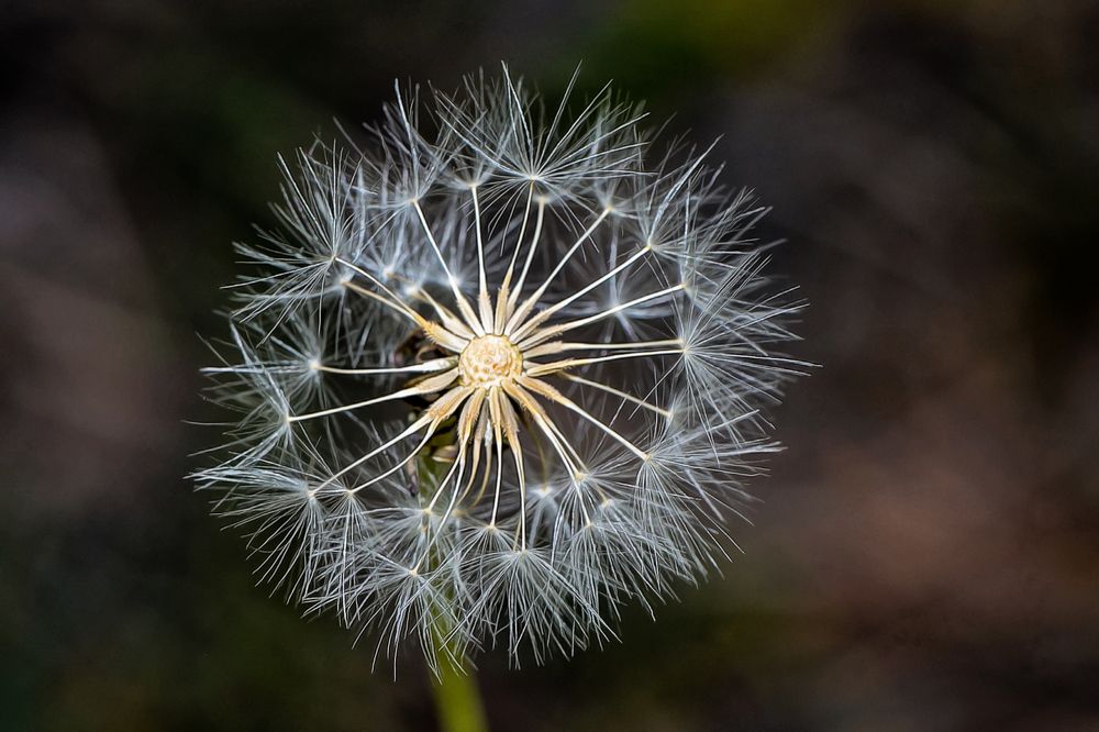 Photograph by Александр Шипиленко