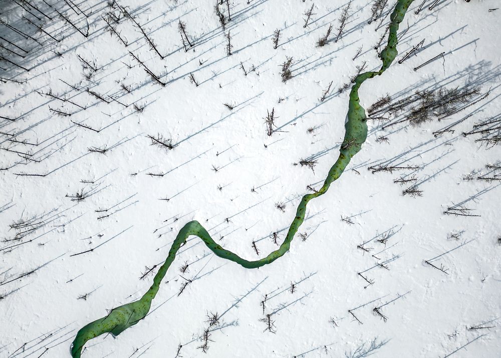 Photograph by Полякова Наталия