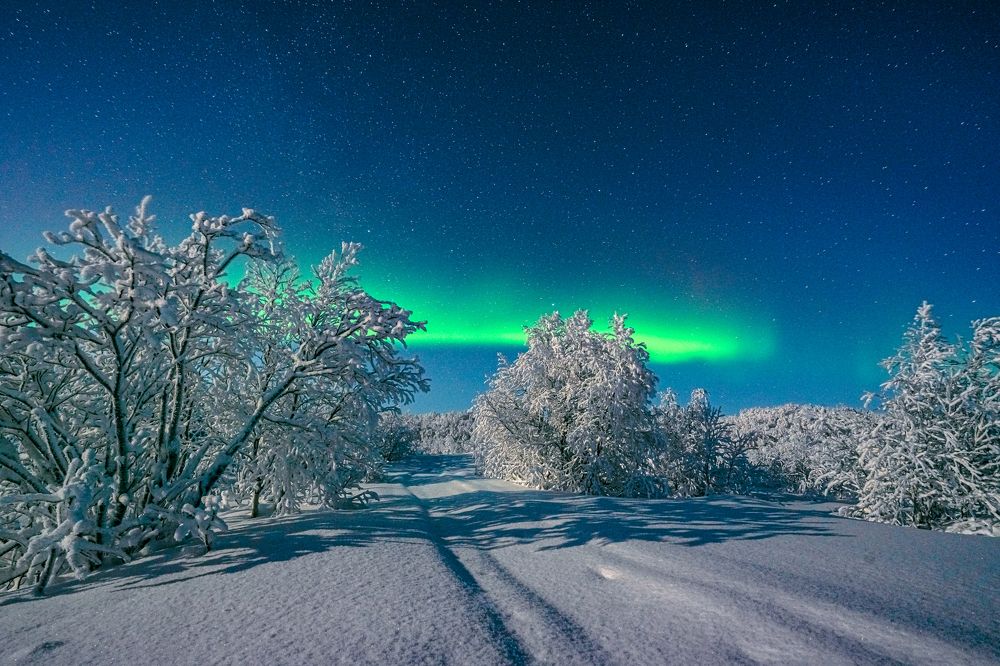 Photograph by Полякова Наталия