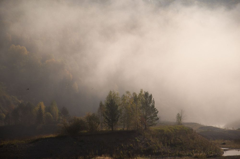 Photograph by Оксана Батракова