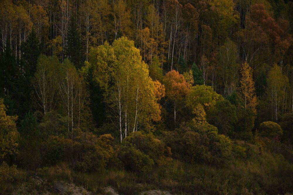 Photograph by Оксана Батракова