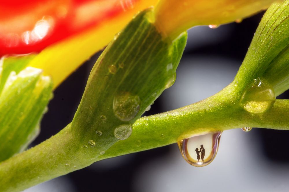 Photograph by Мария Фадеичева