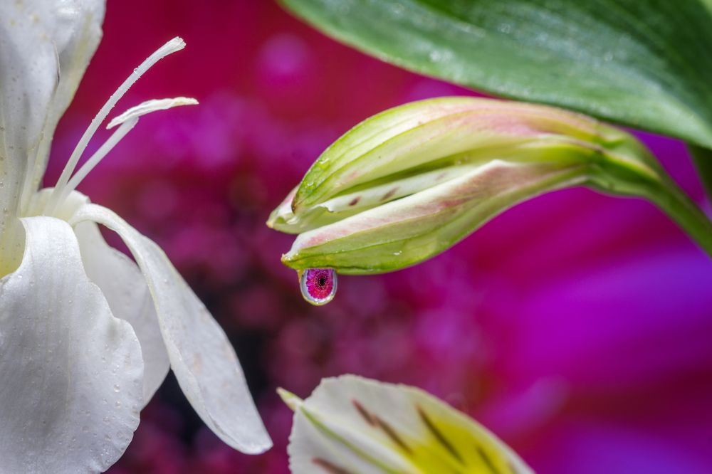 Photograph by Мария Фадеичева