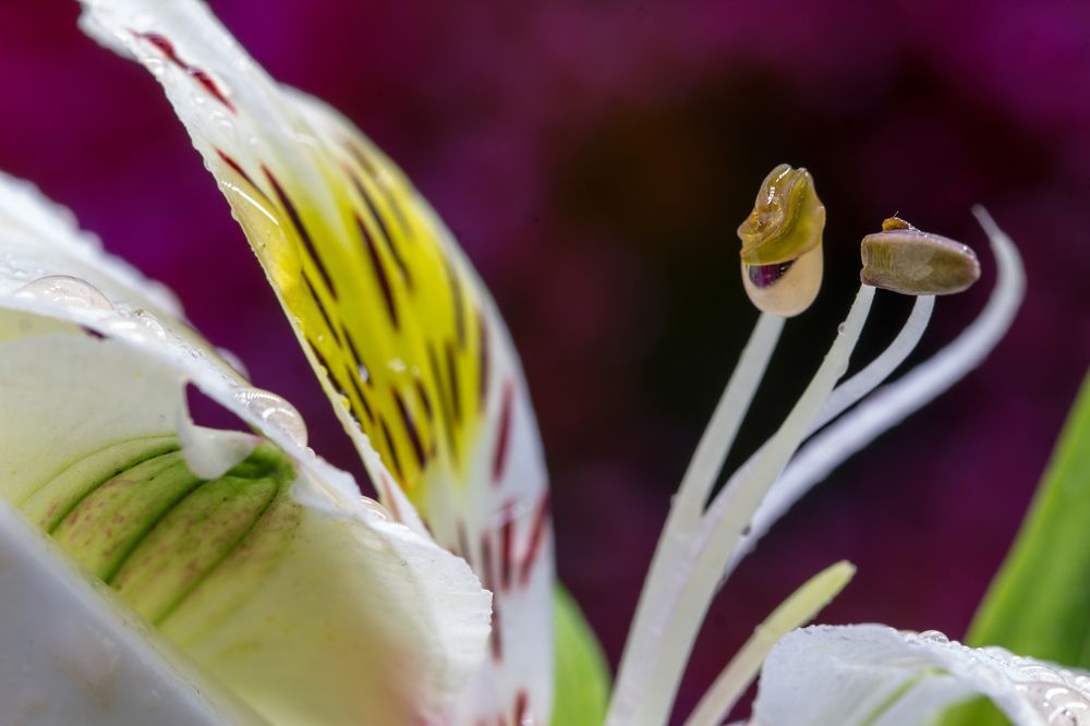 Photograph by Мария Фадеичева