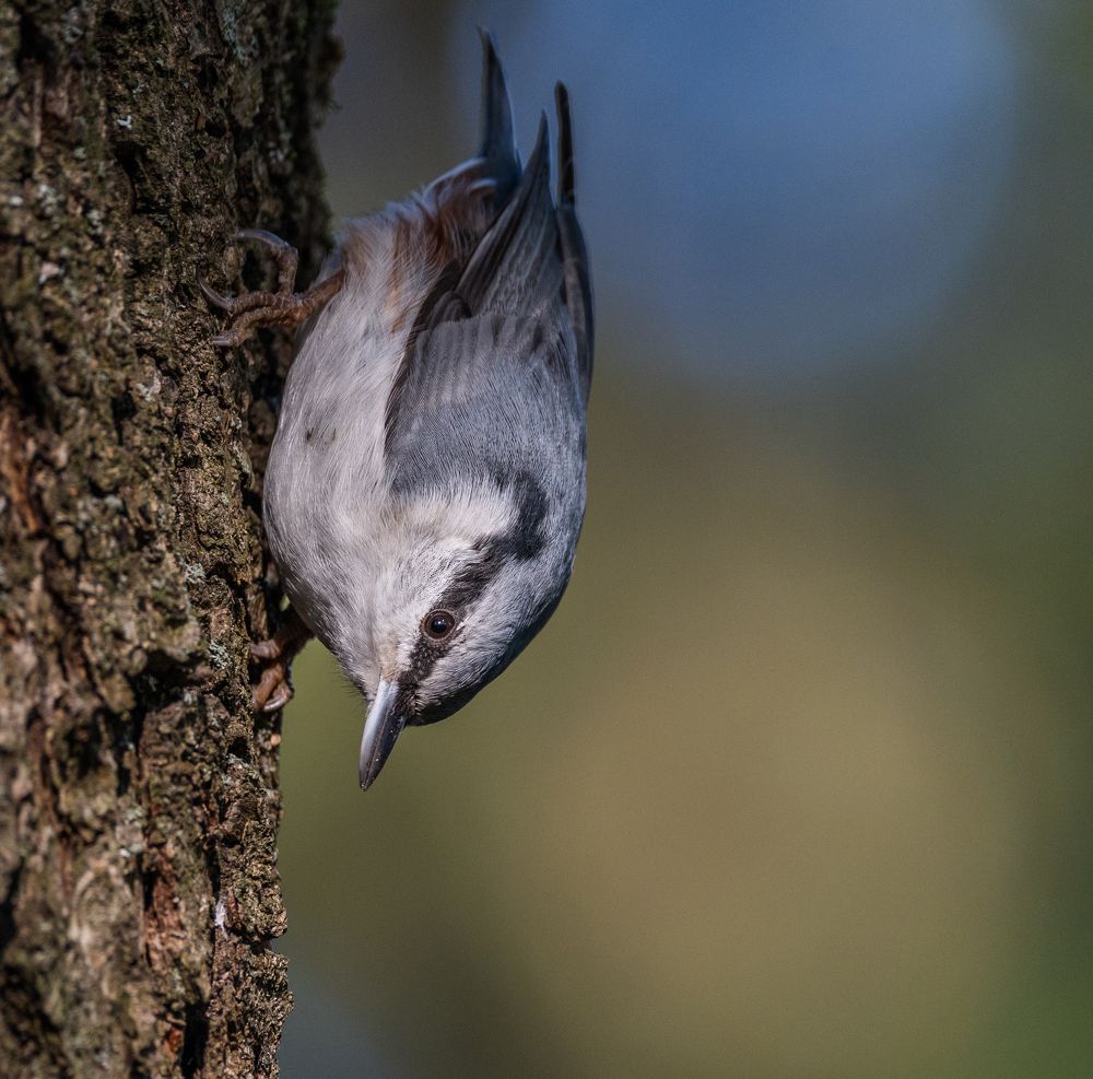 Photograph by Курлянцев Алексей