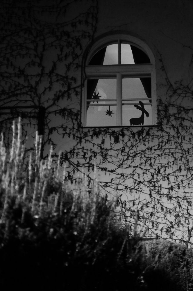 Photograph by Юрий Сычев