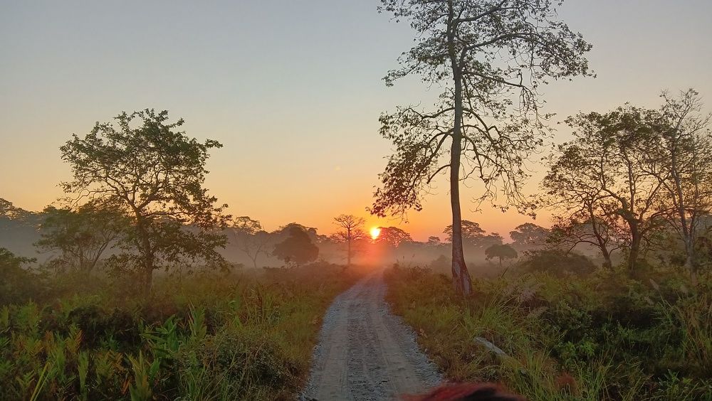 Photo #9594140