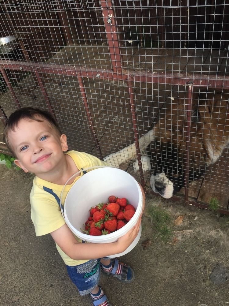 Photograph by Дарья Гаврилова