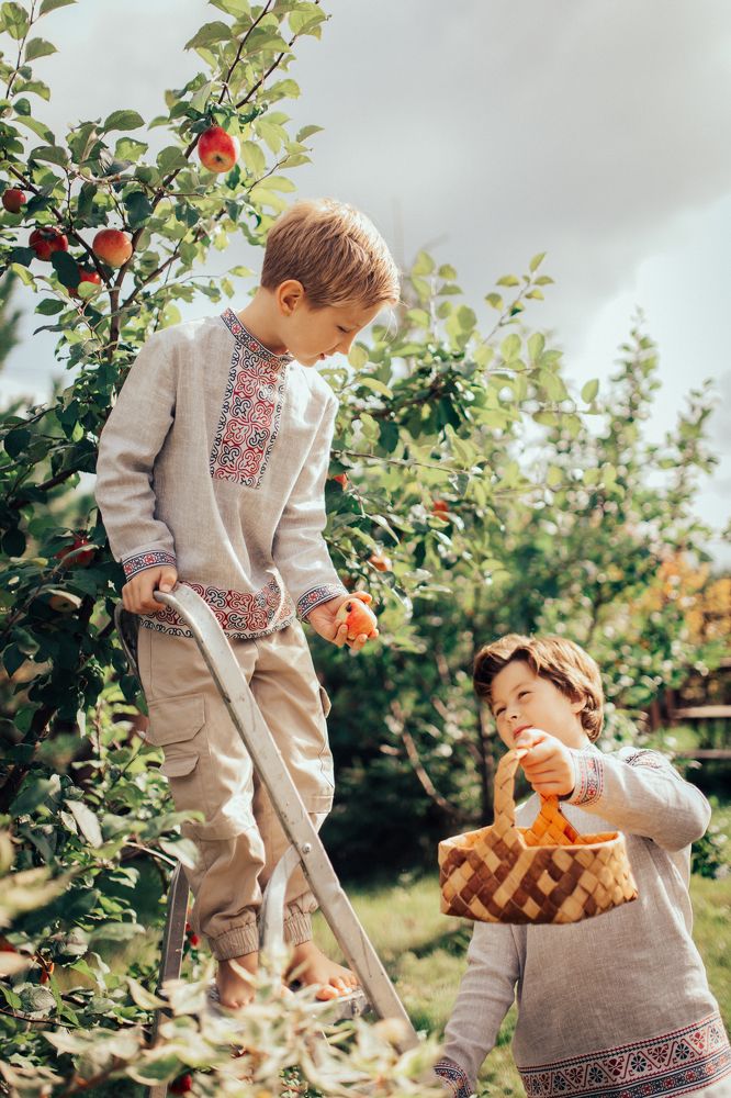 Photograph by Алена Нестерова