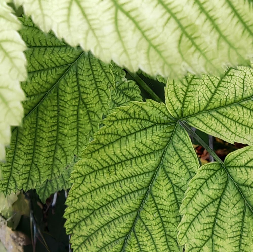 Photograph by Юрий Полушин