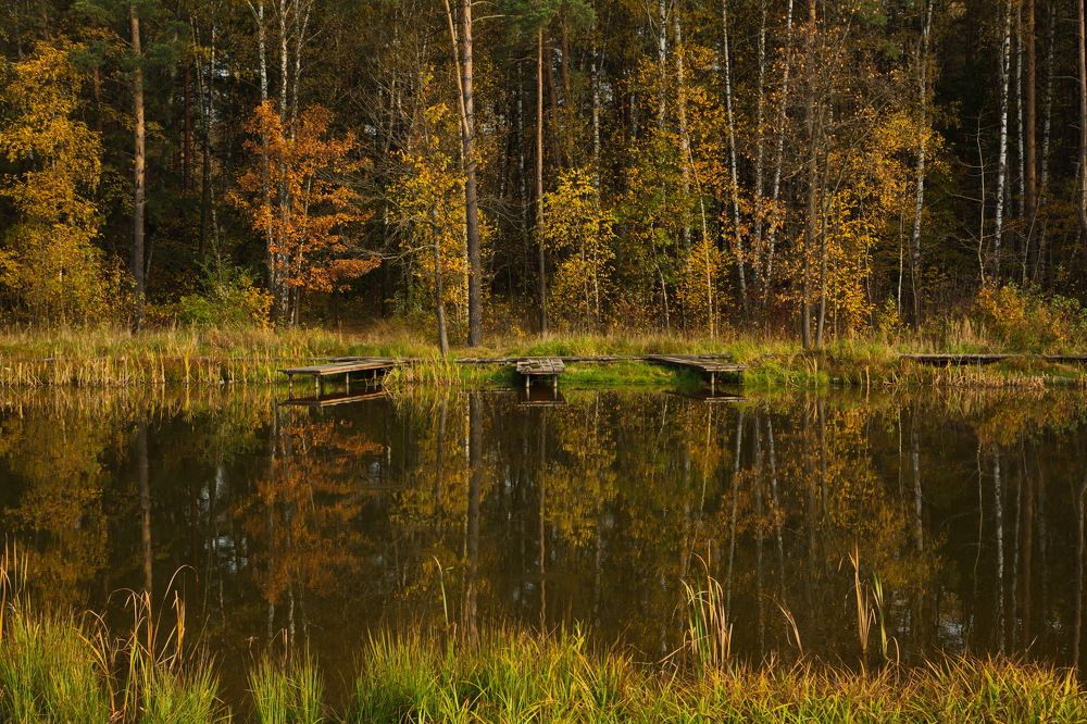 Photograph by Олег Раков