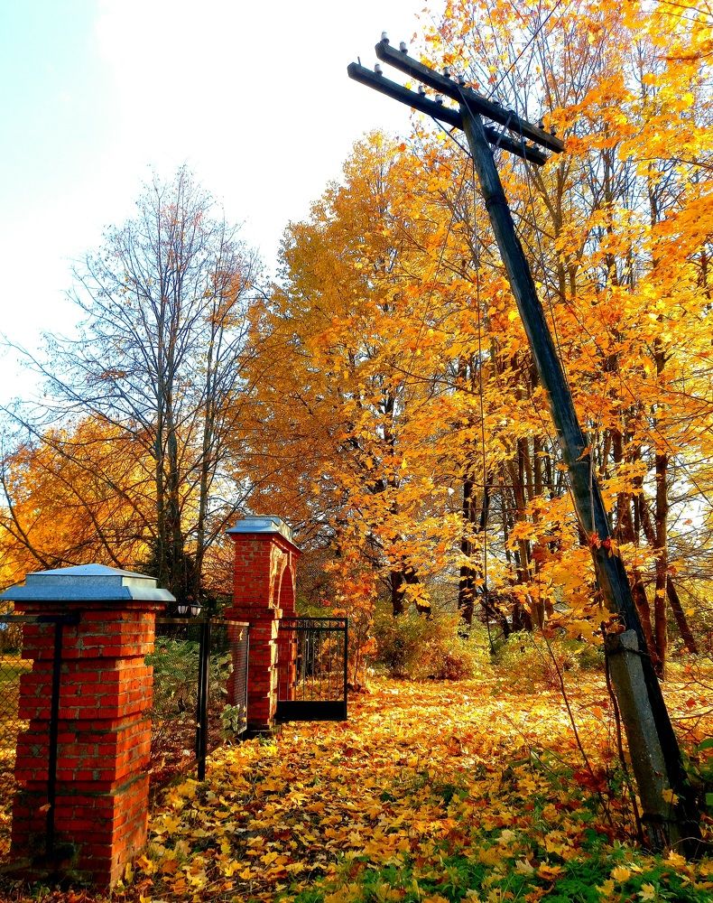 Photograph by Александр Лабутин