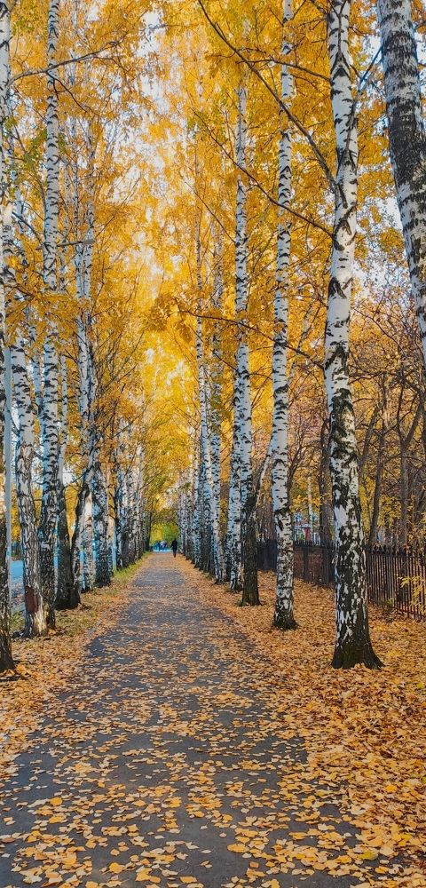 Photograph by Наталия Храмова