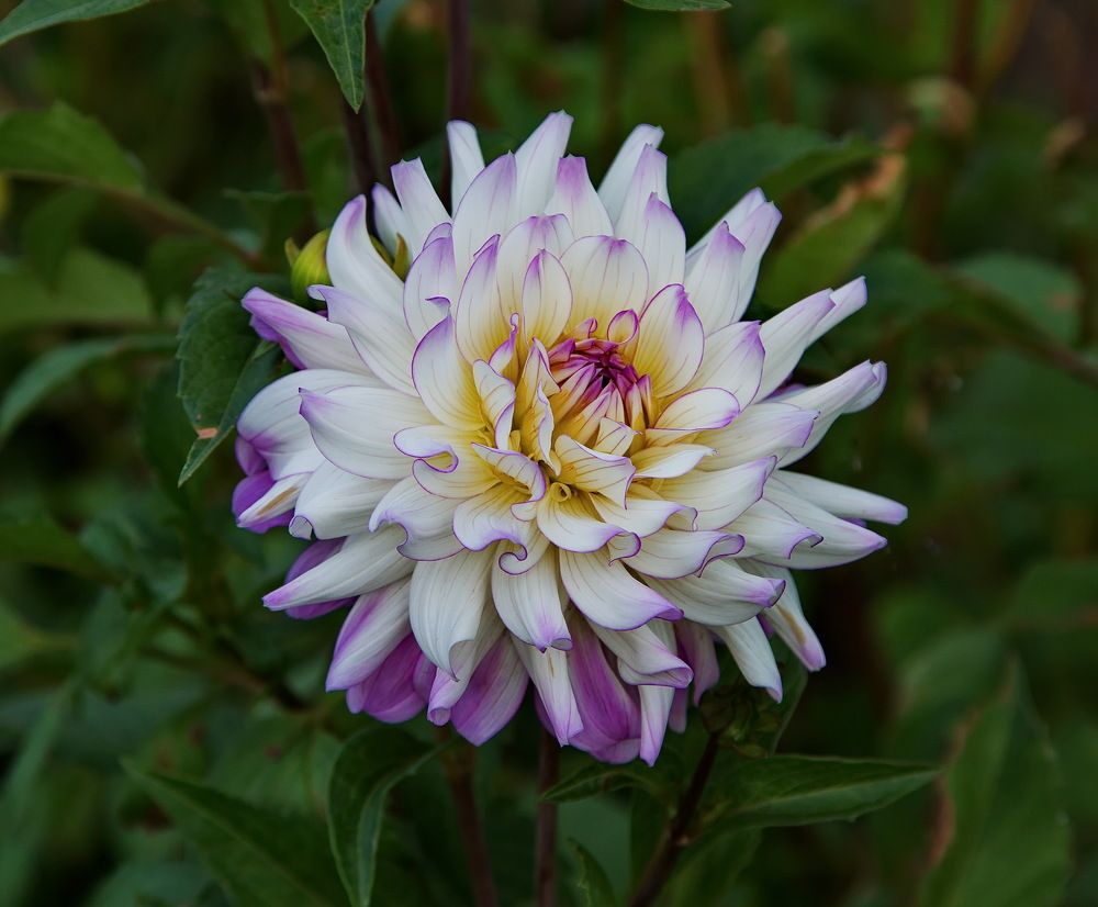 Photograph by Алексей Хазов