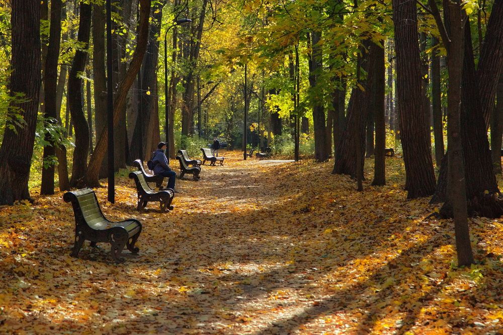 Photograph by Олег Раков