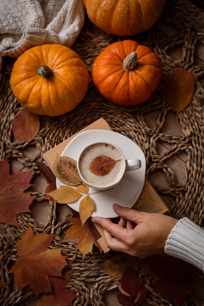 Photograph by Nataly Cook