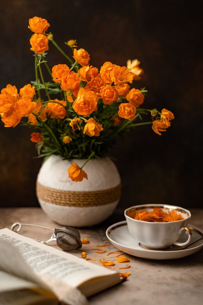 Photograph by Nataly Cook