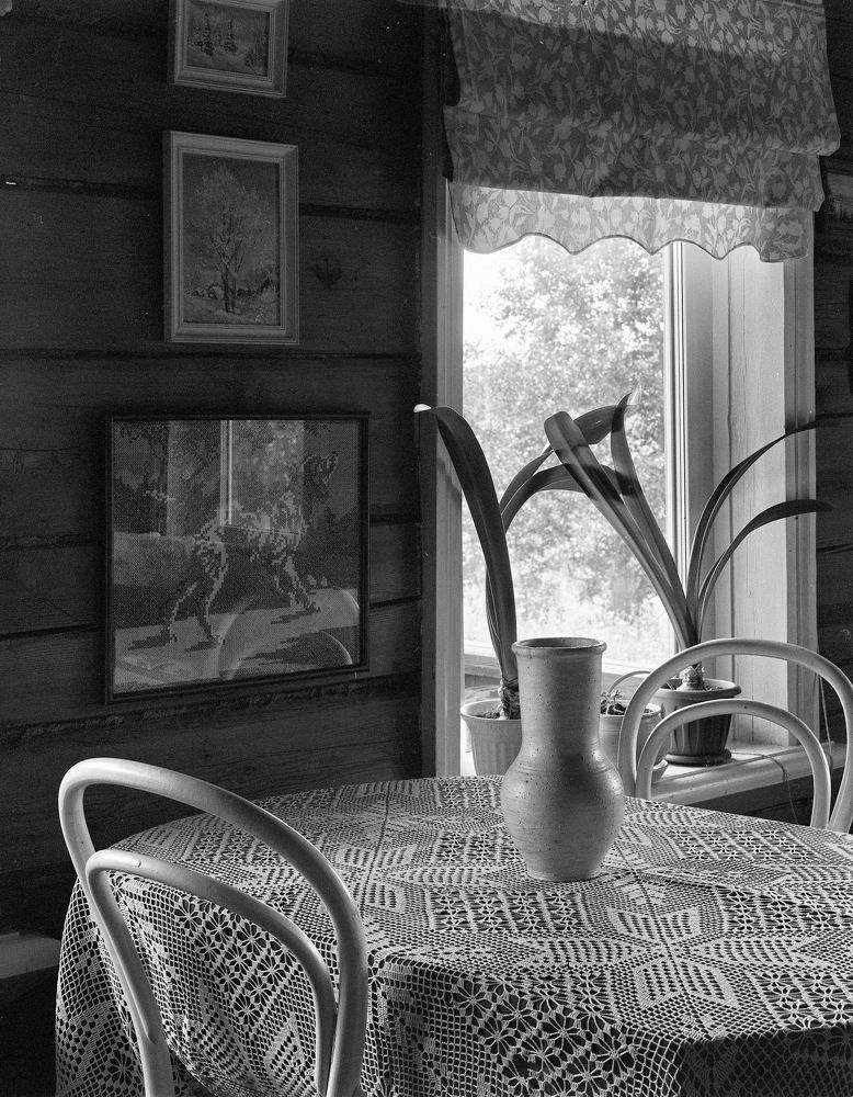 Photograph by Kuzmichev Alexey