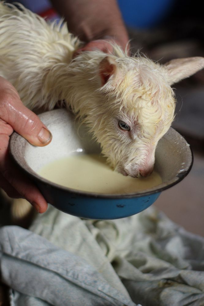 Photograph by Полина Ефимова