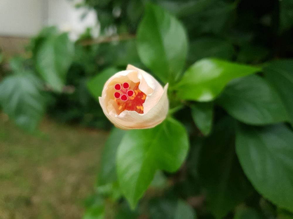 Photograph by Irina Chuprina