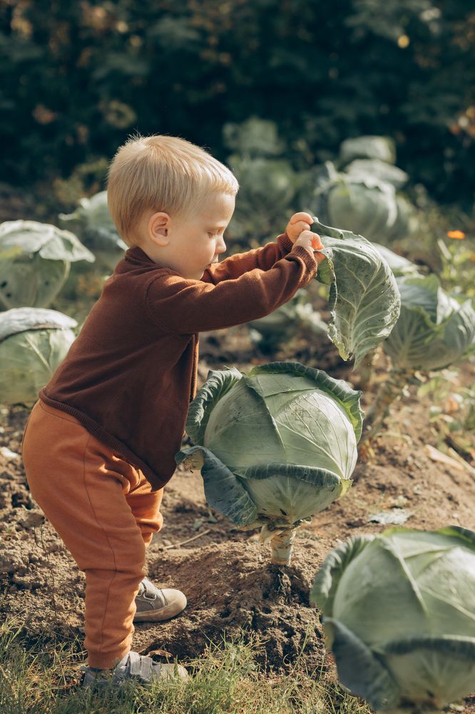 Photograph by Елена Высоких