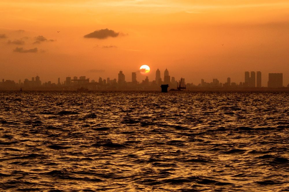 Фотография автора BIPLAB MISRA