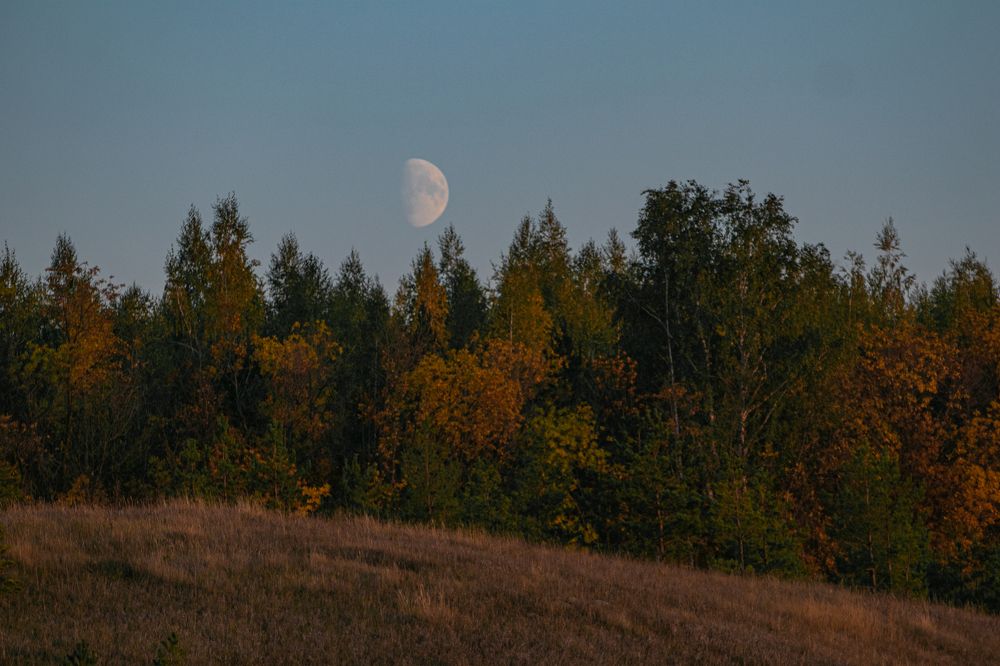 Photograph by Анна Озякова