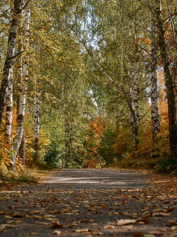 Photograph by Ирина Аверьянова