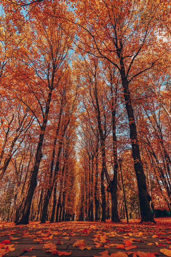 Фотография автора Rom@shkin