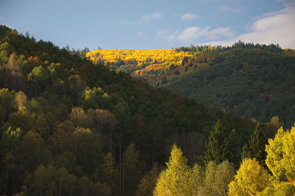 Photograph by Оксана Батракова