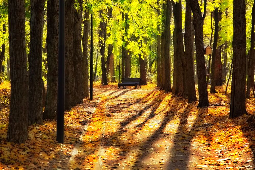 Photograph by Олег Раков