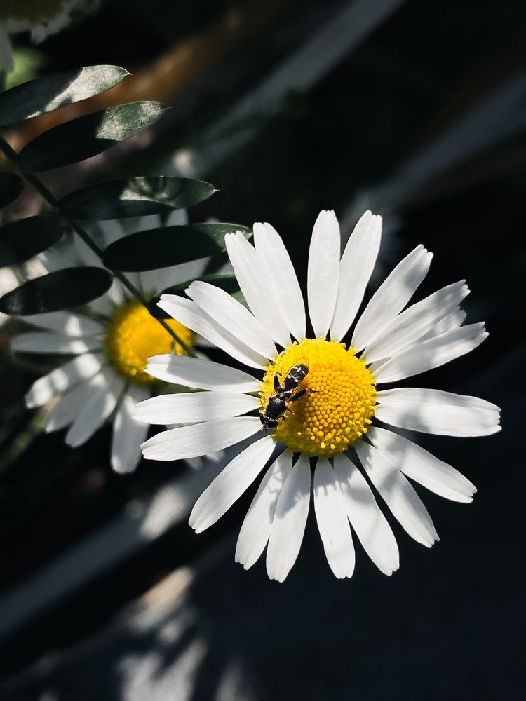 Photograph by Владислава Игошина
