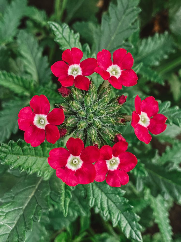 Photograph by Владислава Игошина