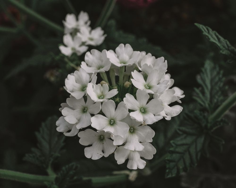 Photograph by Владислава Игошина